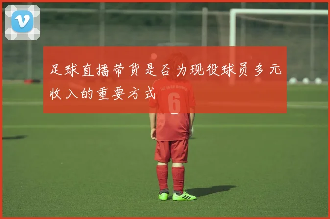 足球直播带货是否为现役球员多元收入的重要方式